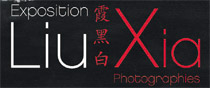 EXPO Liu Xia.png