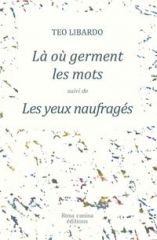 LIvre 1 Teo LIbardo.jpg