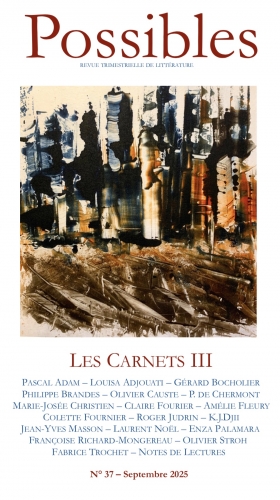 possibles n°37,carnets,écriture,citations