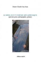 questionnaire de pi,poésie,écriture,marie-claude san juan,le réel est un poème métaphysique,unicité,christophe condello,pieds nus dans l’âme,pierre turcotte éditeur