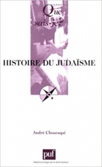 racisme,antisémitisme,judaïsme,delphine horvilleur,pinchas goldschmidt,elie wiesel,akadem,c.c.l.j.,centre laïc juif