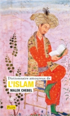 islam,religion,spiritualité,mystique,soufisme,métaphysique,transcendance,culture